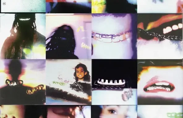 Cochise BRACES Cochise BRACES