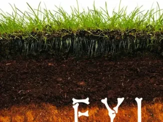 F.Y.I. (Digitally Remastered) Mach Hommy