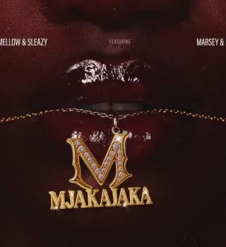 Fake'well – Mjakajaka ft Mellow, Sleazy, Marsey & Mpho Spizzy Fake'well – Mjakajaka ft Mellow, Sleazy, Marsey & Mpho Spizzy