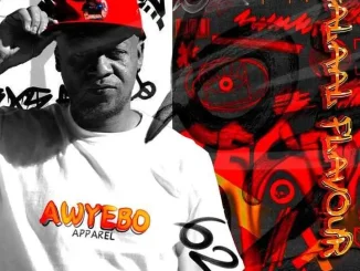 Fiso El Musica – Halaal Flavour #062 Mix Fiso El Musica – Halaal Flavour #062 Mix