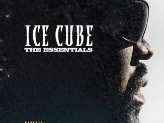 Ice Cube The Essentials
