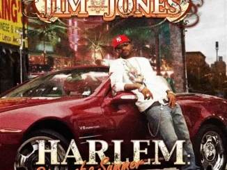 Jim Jones Harlem Diary Of A Summer