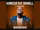 Kabza De Small – Busisiwe ft Young Stunna