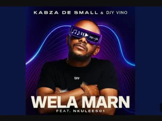 Kabza De Small – Wela Marn ft Djy Vino & Nkulee501
