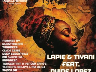 Lapie, Tiyani & Dvine Lopez – Without You (Remix Package)