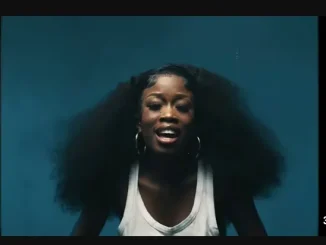 Piano City – Amalanga ft Kelvin Momo, Thatohatsi, Tracy & Pyy Log Drum King