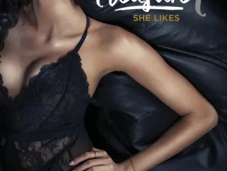 ALBUM: Pleasure P – She Likes Pleasure P She Likes