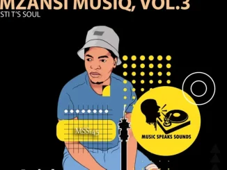STI T’s Soul – Mzansi Musiq, Vol. 3