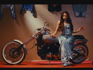 Shashl – Perfect Somebody Shashl – Perfect Somebody