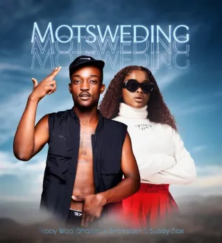 Tribby Wadi Bhozza Shandesh – Motsweding ft. Buddy Sax Tribby Wadi Bhozza Shandesh – Motsweding ft. Buddy Sax