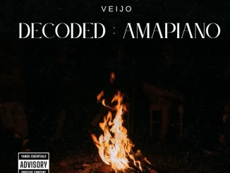 Veijo – Decoded Volume 2 Veijo – Decoded Volume 2